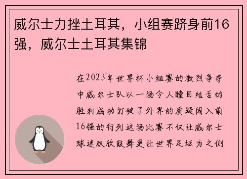 威尔士力挫土耳其，小组赛跻身前16强，威尔士土耳其集锦
